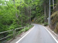 国道299号　十国峠への道